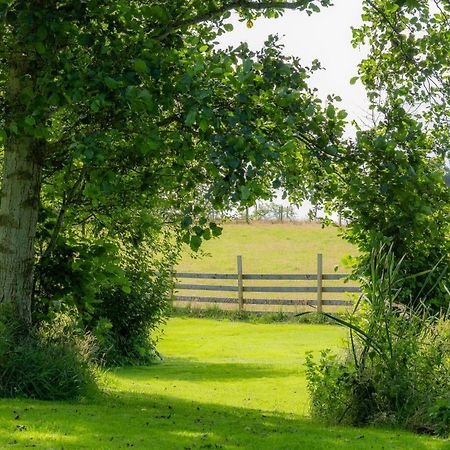 Marcassie Farm Lodges - Birch Lodge 1 Forres Buitenkant foto