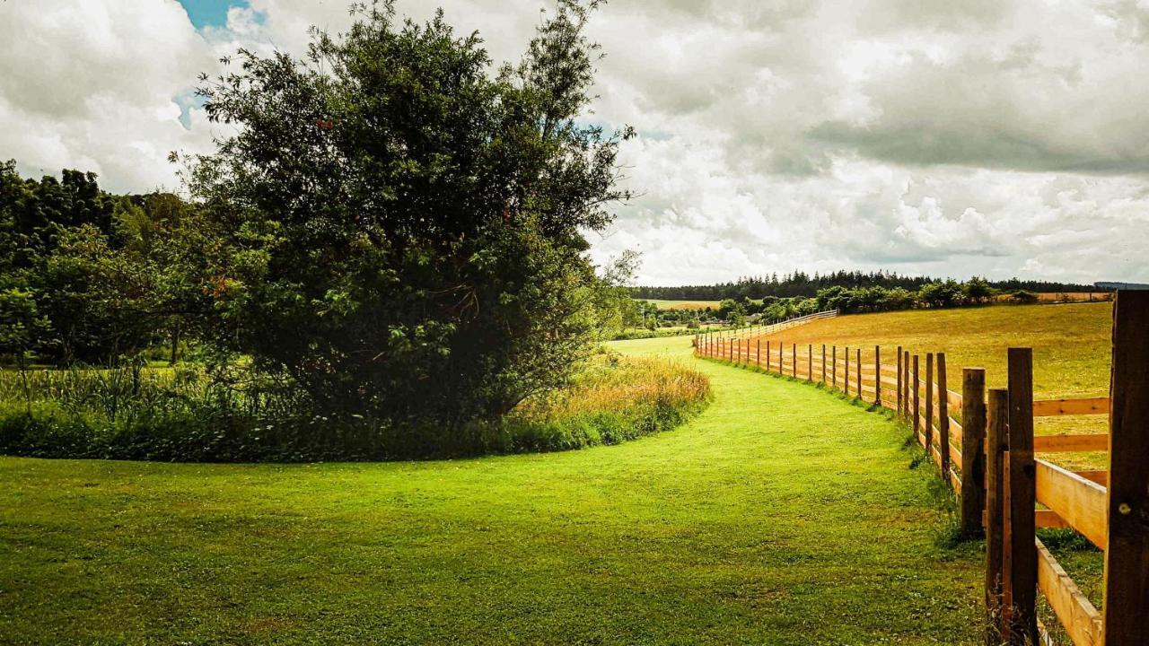 Marcassie Farm Lodges - Birch Lodge 1 Forres Buitenkant foto