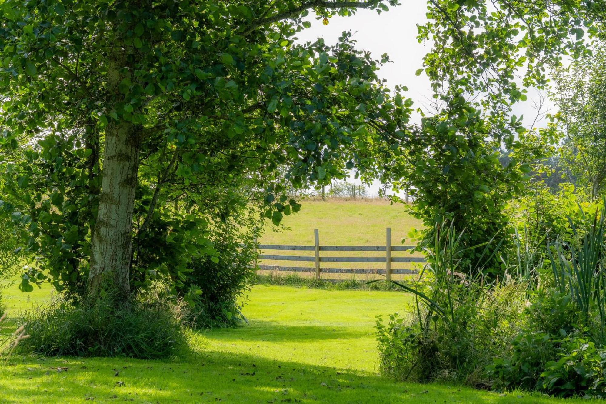 Marcassie Farm Lodges - Birch Lodge 1 Forres Buitenkant foto