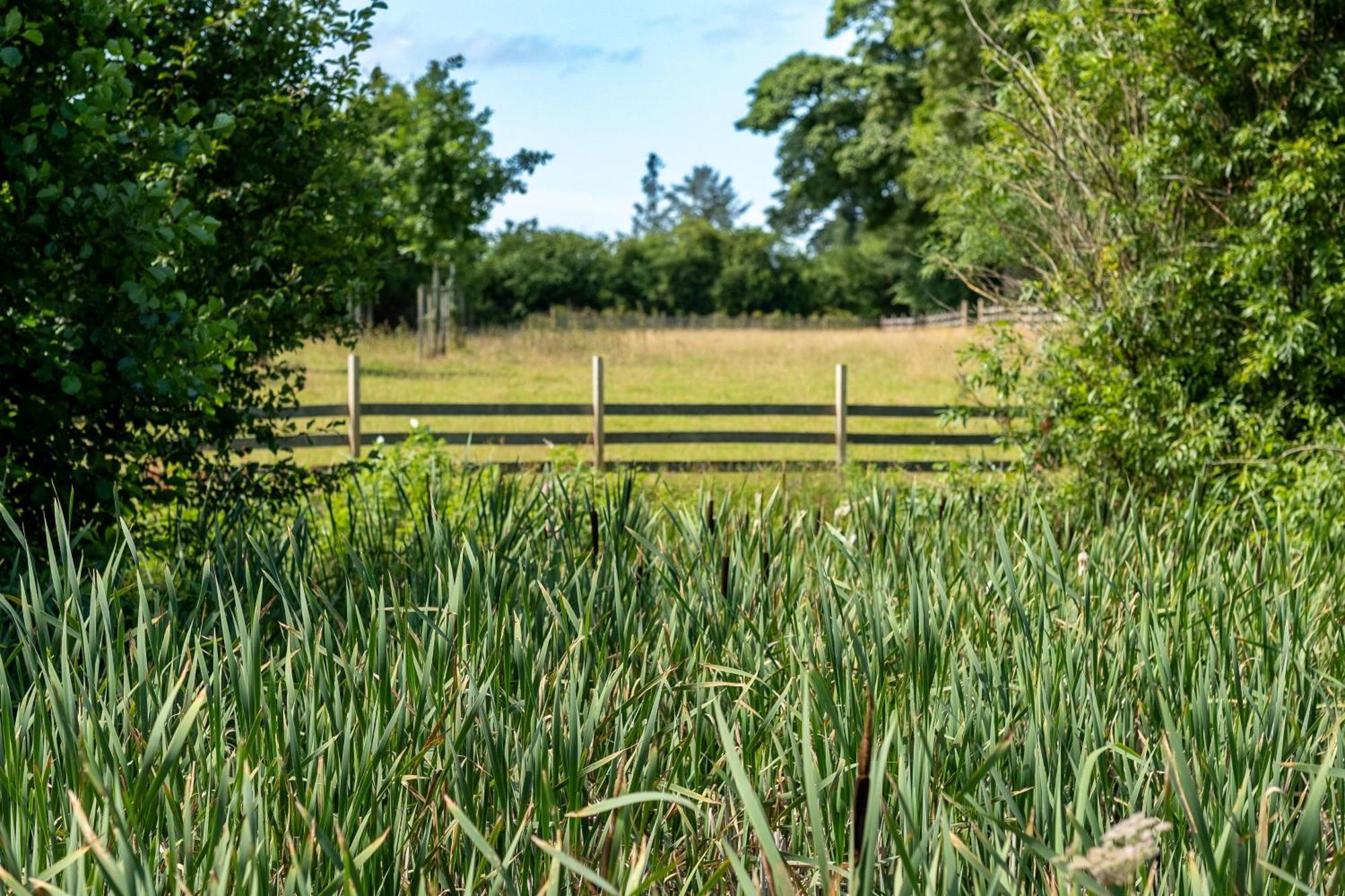 Marcassie Farm Lodges - Birch Lodge 1 Forres Buitenkant foto