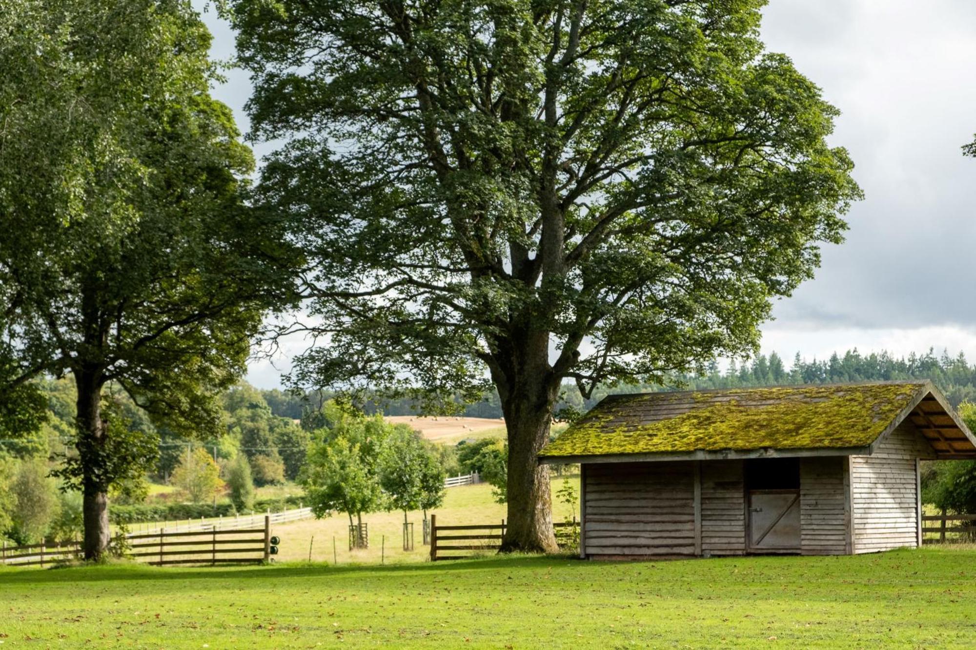 Marcassie Farm Lodges - Birch Lodge 1 Forres Buitenkant foto